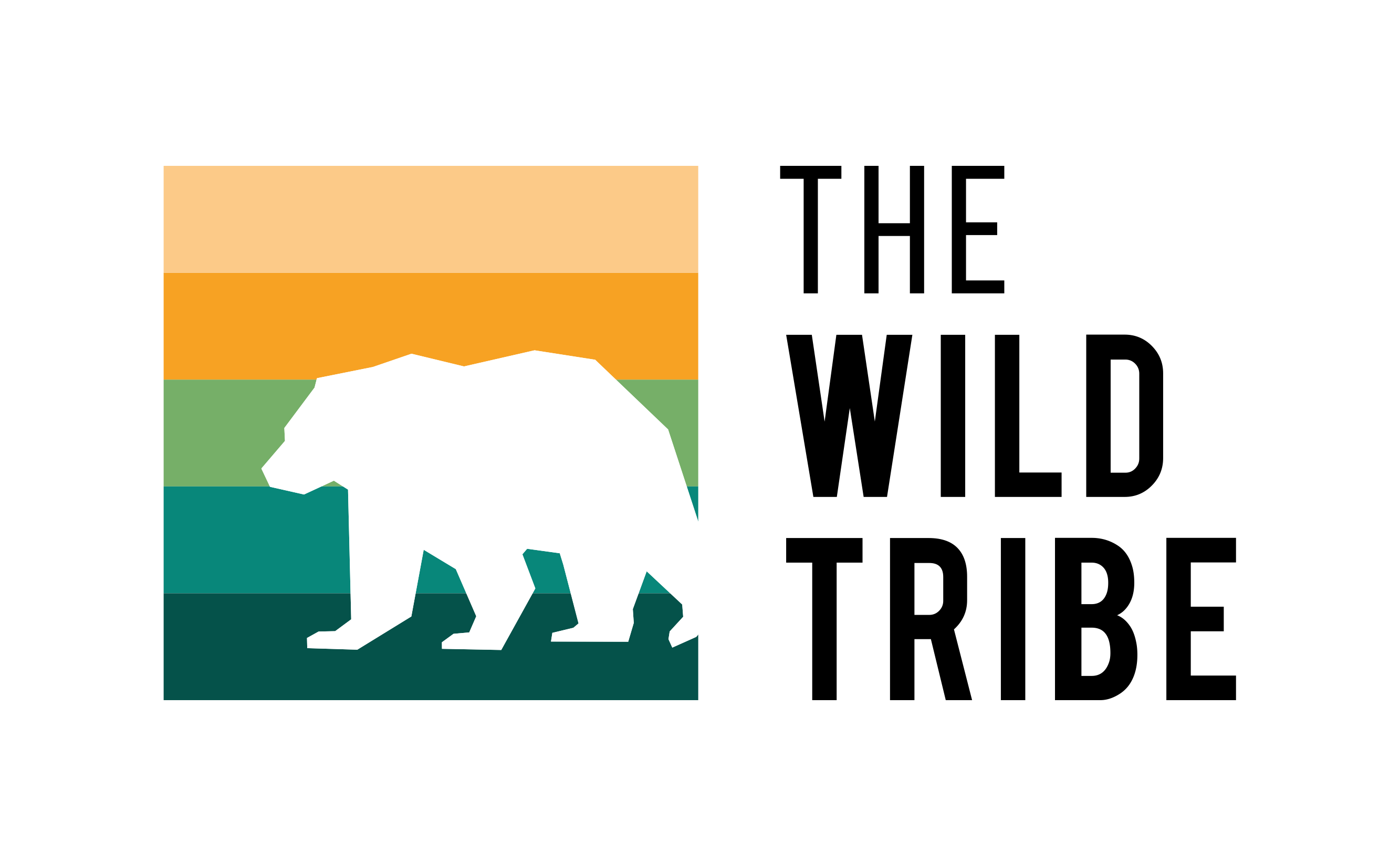 Premium Inflatable Paddle Boards & Outdoor Gear – Built for Canadian