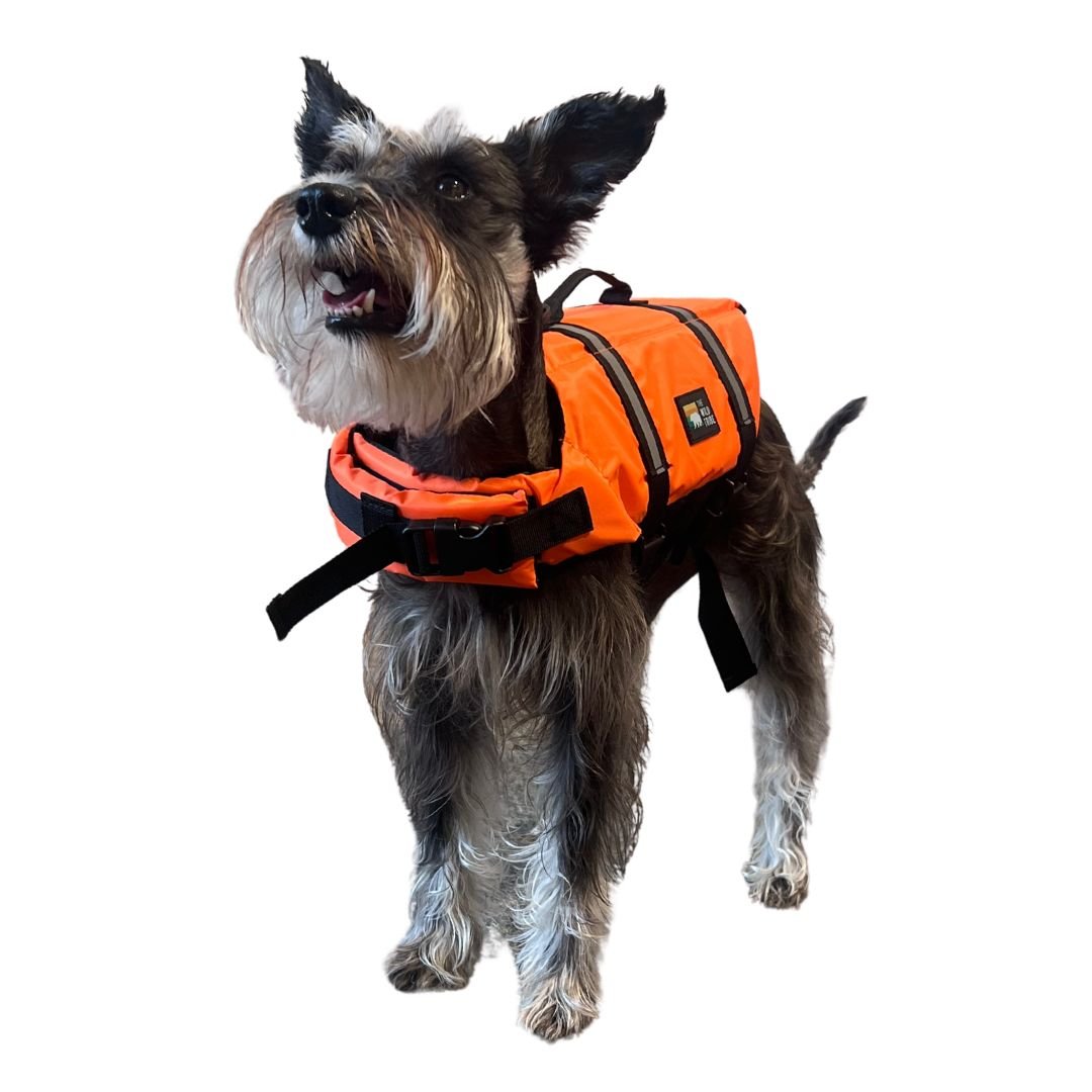 Gilet de sauvetage pour animaux - The Wild Tribe
