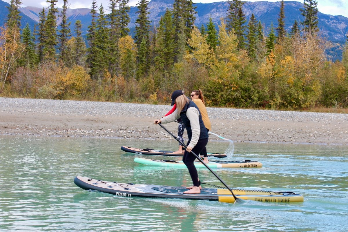 Peyto Golden 11 (2024): All-Around Premium 11' Inflatable Paddleboard - The Wild Tribe