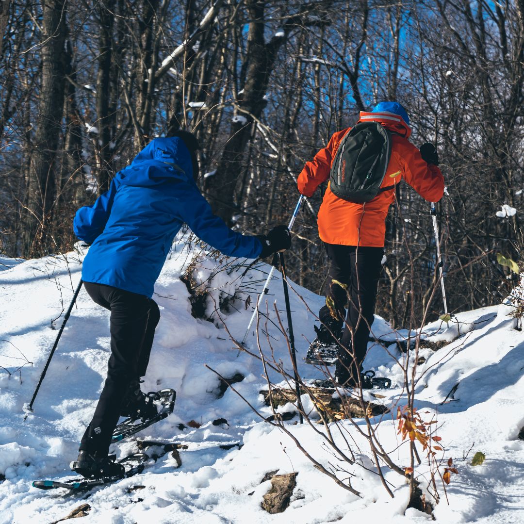Kit d'exploration hivernale : raquettes Kootenay et bâtons de randonnée Ascent - The Wild Tribe
